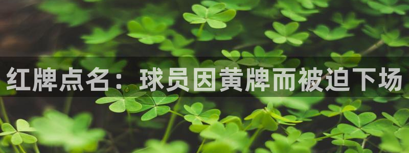 红牌点名：球员因黄牌而被迫下场