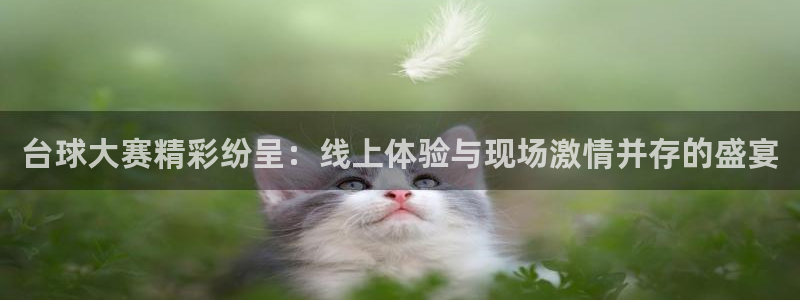 易游娱乐pt平台易游：台球大赛精彩纷呈：线上体验与现场激情并