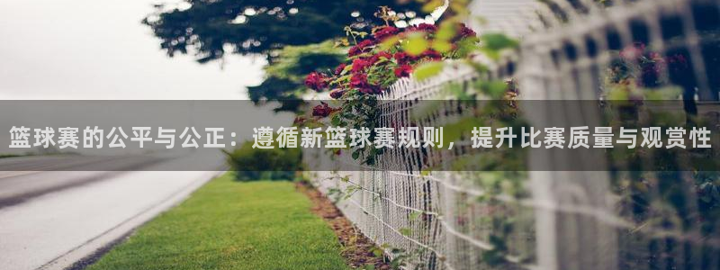 易游游戏平台官网：篮球赛的公平与公正：遵循新篮球赛规则，提升